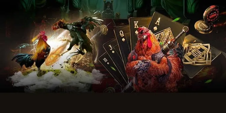 Bí Kíp Chinh Phục Đá Gà Ga28 Tại DK8 Từ Cao Thủ Lão Làng 1 Bí Kíp Chinh Phục Đá Gà Ga28 Tại DK8 Từ Cao Thủ Lão Làng