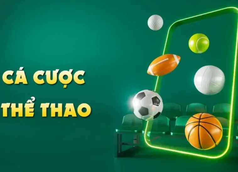 Chinh Phục Thể Thao DK8 Đẳng Cấp Với Tỷ Lệ Cược Hấp Dẫn Nhất 1 Chinh Phục Thể Thao DK8 Đẳng Cấp Với Tỷ Lệ Cược Hấp Dẫn Nhất